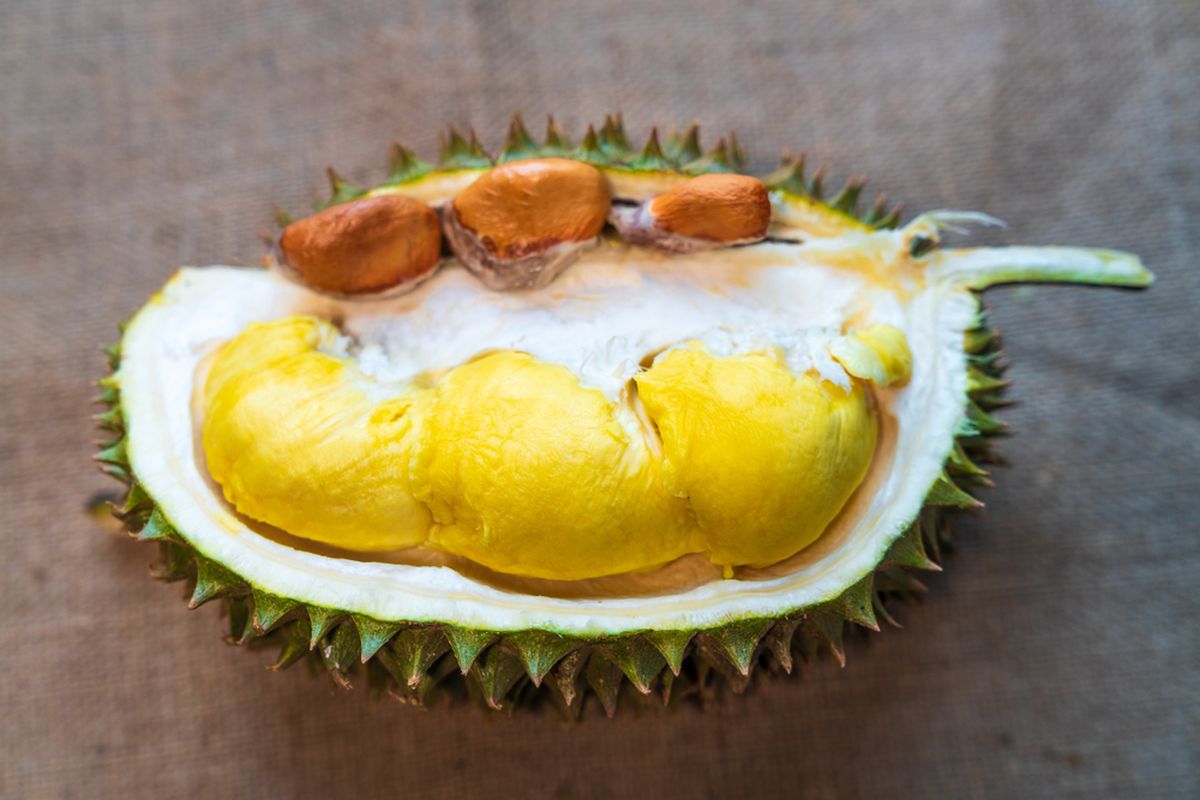 Apa yang Terkandung dalam Durian? Ini Daftarnya…